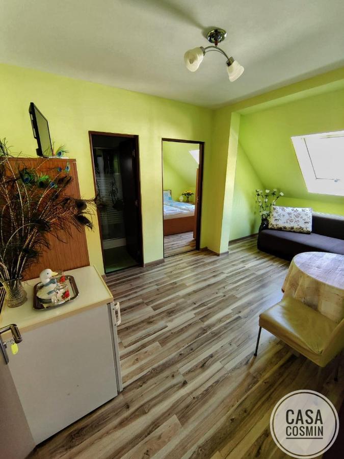 Casa Cosmin Cincu Exterior foto
